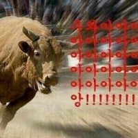 오늘 새벽글 상태