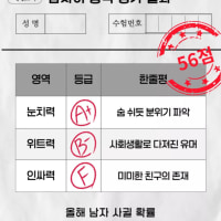 남자어 테스트도 해보니 모든 의문점이 풀렸다