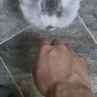 똥싸면서 옵지보기