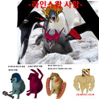 3월 5일,15.5패치 하이라이트 요약