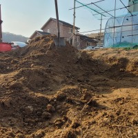 고3 옵붕이 실시간 땅 파는 중