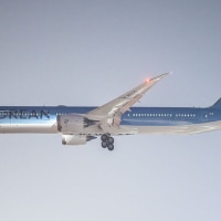Korean Air's new livery.jpg