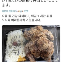 건강을 생각해서 튀김 하나만 넣은 도시락