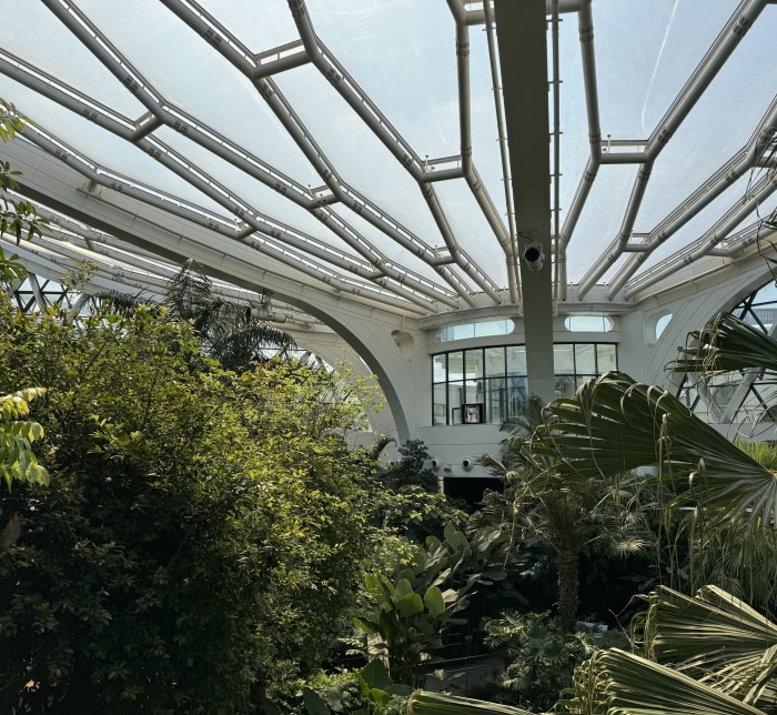 20250426053930.0.2646748.jpg?image=w_700,c_limit,fl_lossy