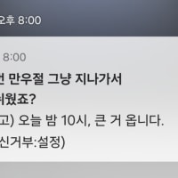 어그로일까 진짜일까