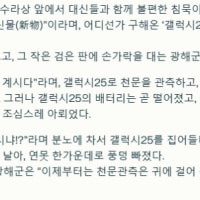 광해군 갤럭시 25던짐 사건