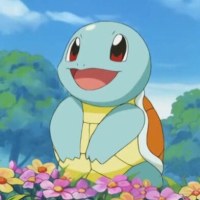 꼬부기 닮았다는 말이 칭찬일까