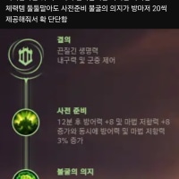 지금 정글 불굴 드는 거 괜찮더라