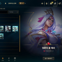 애쉬 스킨 2만원이라고요?