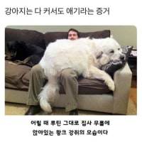 강아지는 다 커서도 아기임