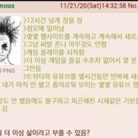삶이 더 이상 삶같지 않다는 어느 20대 백수