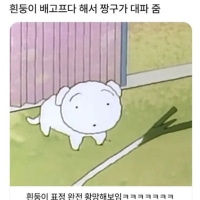 데빌구 .JPG
