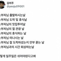 부처님 오신 한 주 내내 쉬어야함
