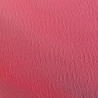 정글) 티어 올리는 법 딱 정리해 드립니다.