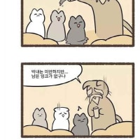 잉크가 부족한 고양이
