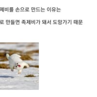 수제비를 손으로 만드는 이유