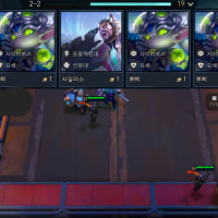 라이엇 이상해;;