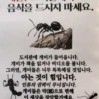 도서관에서 음식을 먹으면 안되는 이유