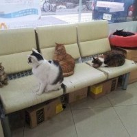 한국 군대생활 한장으로 요약