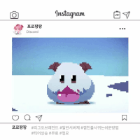 🤍 포로팡팡⌯⦁⩊⦁⌯ಣ 🤍 Łёagцё Øf Łёgёnđs 전용 디스코드 *:･ﾟ✧