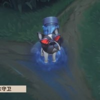 우지 패스에 샤워하는 개 스킨이 있는 이유