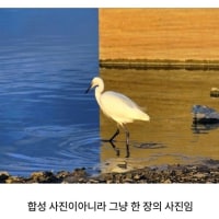 의외로 합성이 아니라는 사진