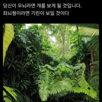 좌뇌형 인간과 우뇌형 인간이 다르게 보는 그림