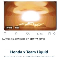 대회에서 일본팀한테 지고 원폭사진 올린게이머