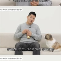 난이도라는게 없는 견종