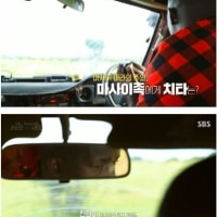 아프리카에서 치타의 취급