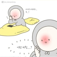 남자친구네 강아지 관찰카메라 후기