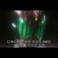 가면라이더 시야에 관한 비밀