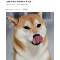 사람죽은거 목격한 사람