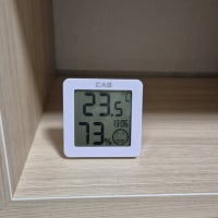 돈 1도 안쓰고 동남아 왔다 개꿀