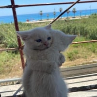 조심히가 집도착하면 카톡하고