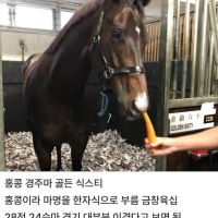 경주에 져서 우는 말