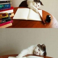 오랜만에 공부해봤다