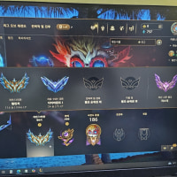 챌린저찍었던방법  솔랭공략. 팀겜x