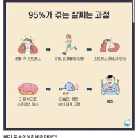 95%가 겪는다는 비만루틴