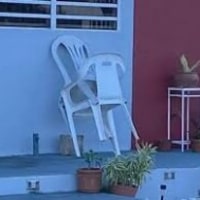 옵붕이 갑자기 운동 마려워영 뿌엥