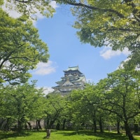 일본 여행 마렵네