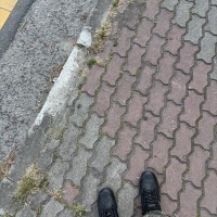 실시간 옵붕이 예비군 간다