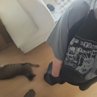옷 샀는데 평가 좀 해주세요