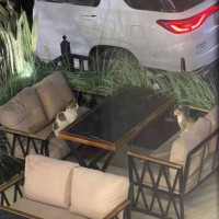 옆자리 소개팅중인가바