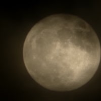 오늘 스트로베리 달 뜬다 해서