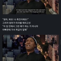 백인아이가 백인들이 갑자기 싫어진 이유