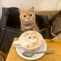 카페 사장님한테 고양이 그림 그려주세요