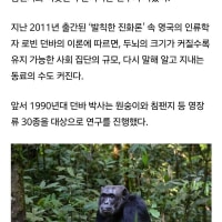 친구 수 65명 이하는 침팬지