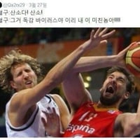 백혈구가 하는일