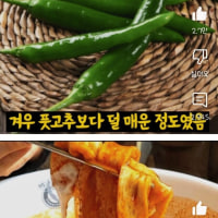 신라면은 약40년간 몰래 한국인들을 단련 시켰다